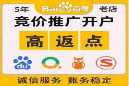 百度竞价排名案例分享：广告投放的技巧与误区